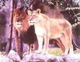 Enlarge photo 212