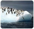 Enlarge photo 286
