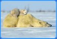 Enlarge photo 314