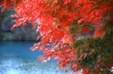 Enlarge photo 694