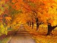 Enlarge photo 697