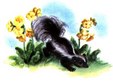 Enlarge photo 375