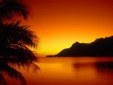 Enlarge photo 700
