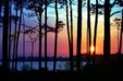 Enlarge photo 701