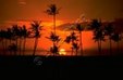 Enlarge photo 704
