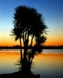 Enlarge photo 706