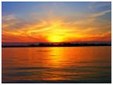 Enlarge photo 707