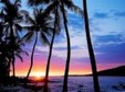 Enlarge photo 708