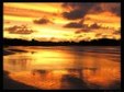 Enlarge photo 710