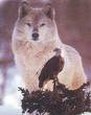Enlarge photo 419
