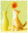 Enlarge photo 56