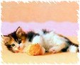Enlarge photo 58