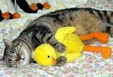 Enlarge photo 15