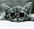 Enlarge photo 50