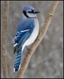 Enlarge photo 178