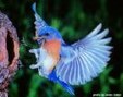 Enlarge photo 181