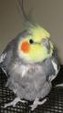 Enlarge photo 148