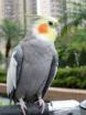Enlarge photo 154