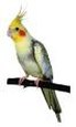 Enlarge photo 156
