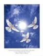 Enlarge photo 50