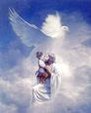 Enlarge photo 51