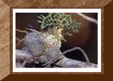 Enlarge photo 78