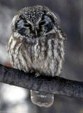 Enlarge photo 96