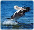 Enlarge photo 120