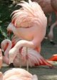Enlarge photo 161
