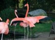 Enlarge photo 165