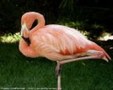 Enlarge photo 167