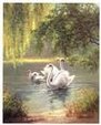 Enlarge photo 131
