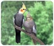 Enlarge photo 146