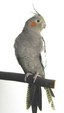 Enlarge photo 157