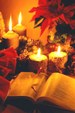 Enlarge photo 40