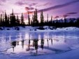 Enlarge photo 297