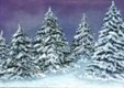 Enlarge photo 298