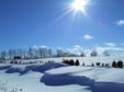 Enlarge photo 299