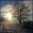 Enlarge photo 303