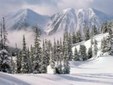Enlarge photo 304