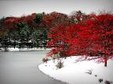 Enlarge photo 305