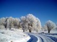 Enlarge photo 307