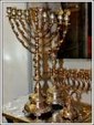 Enlarge photo 324