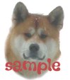 Enlarge photo 30