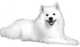 Enlarge photo 60