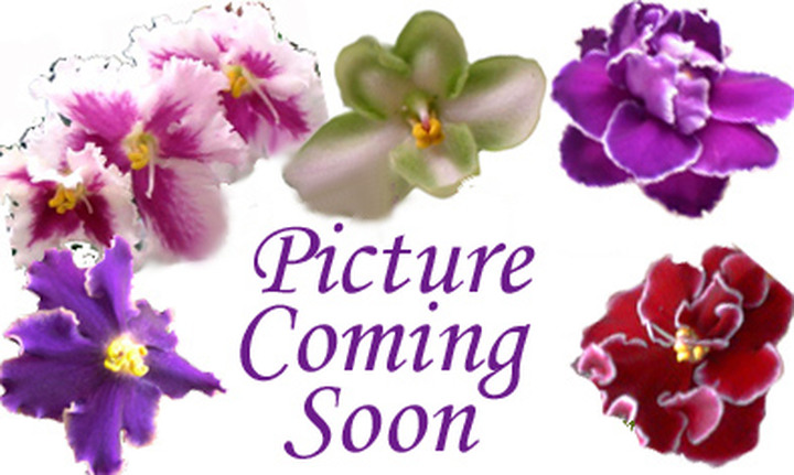 Print photo at home