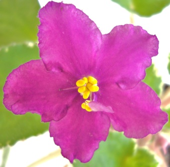 Enlarge photo 49