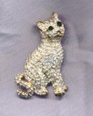 CATS