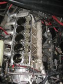 Enlarge photo 305