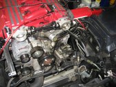 Enlarge photo 45